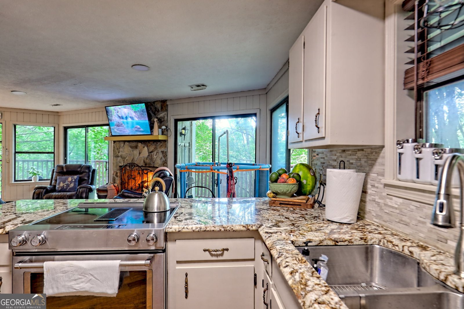 480 Sky High Drive Dillard - 9