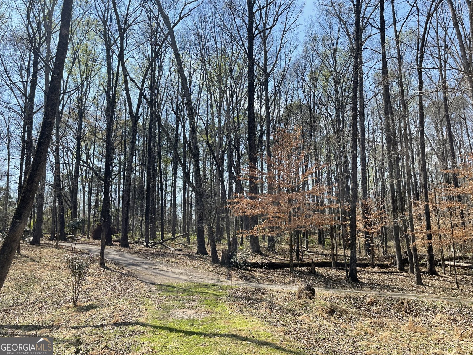 4389 & 4381 Campbell Road Snellville - 7