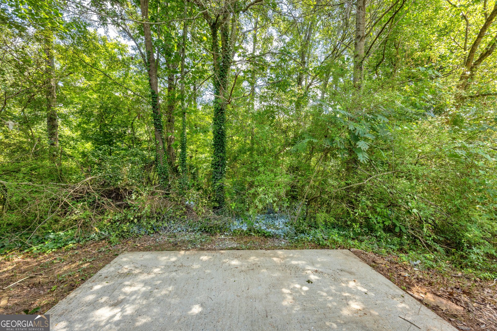 4084 Waldrop Hills Drive Decatur - 40