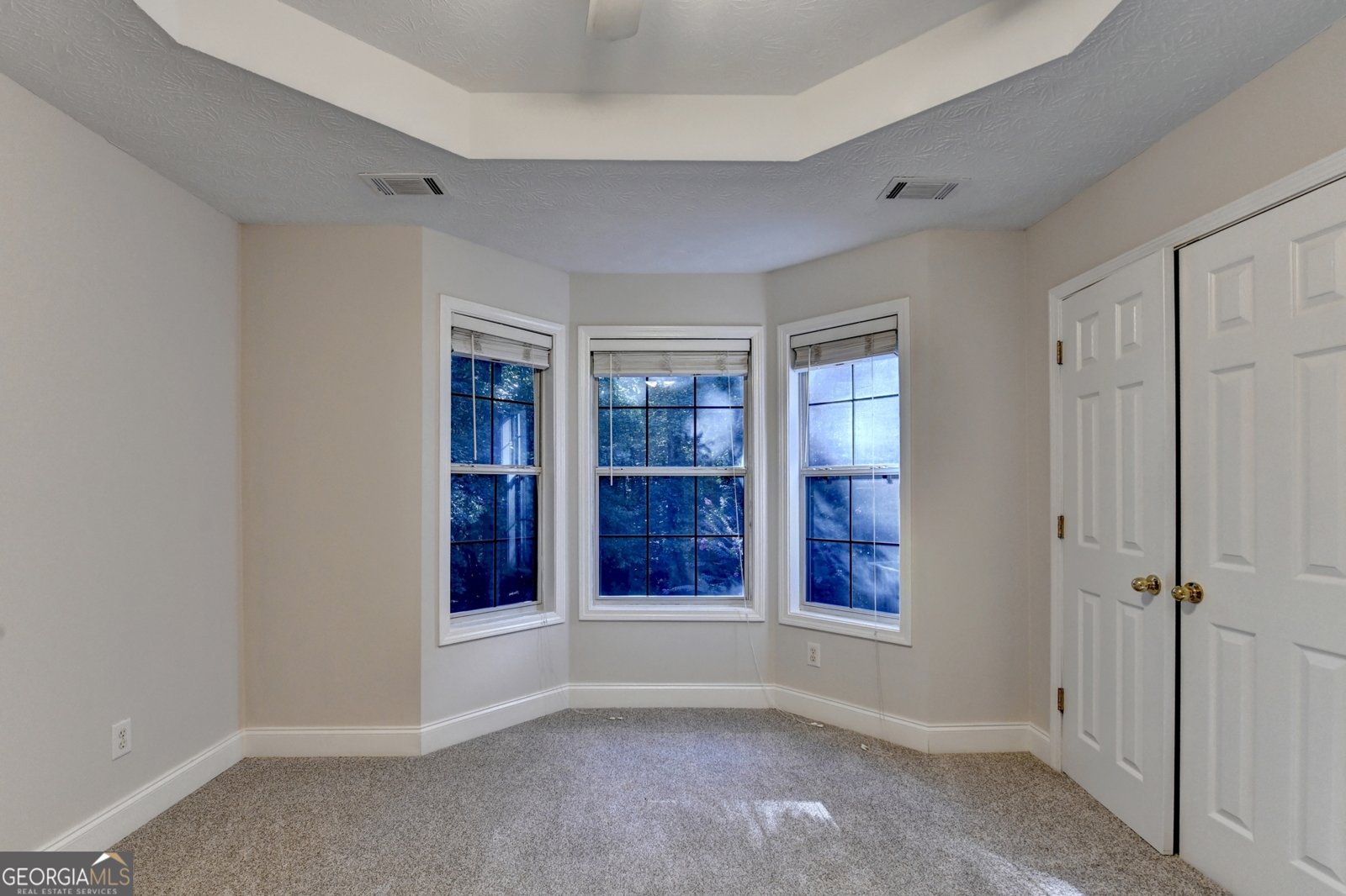 880 Duck Road Braselton - 20
