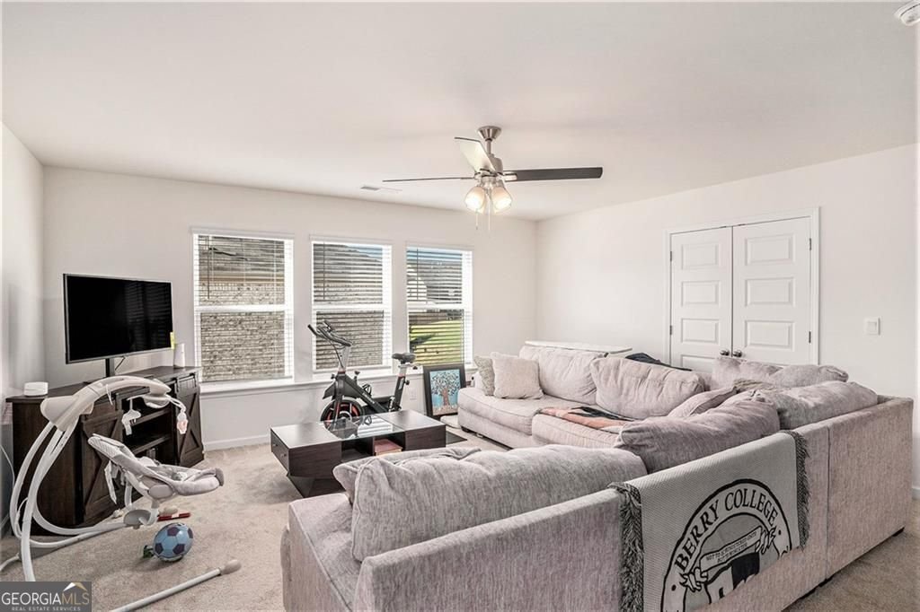 198 Broder Farms Drive Stockbridge - 12
