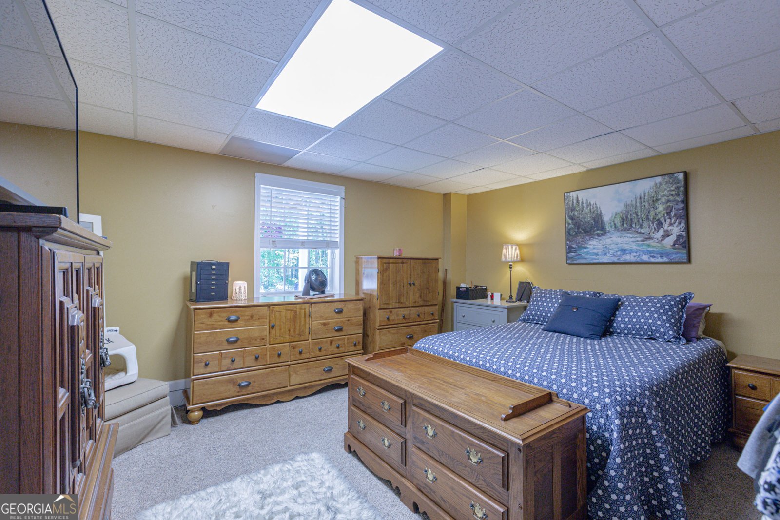 460 Rivers Road Fayetteville - 41