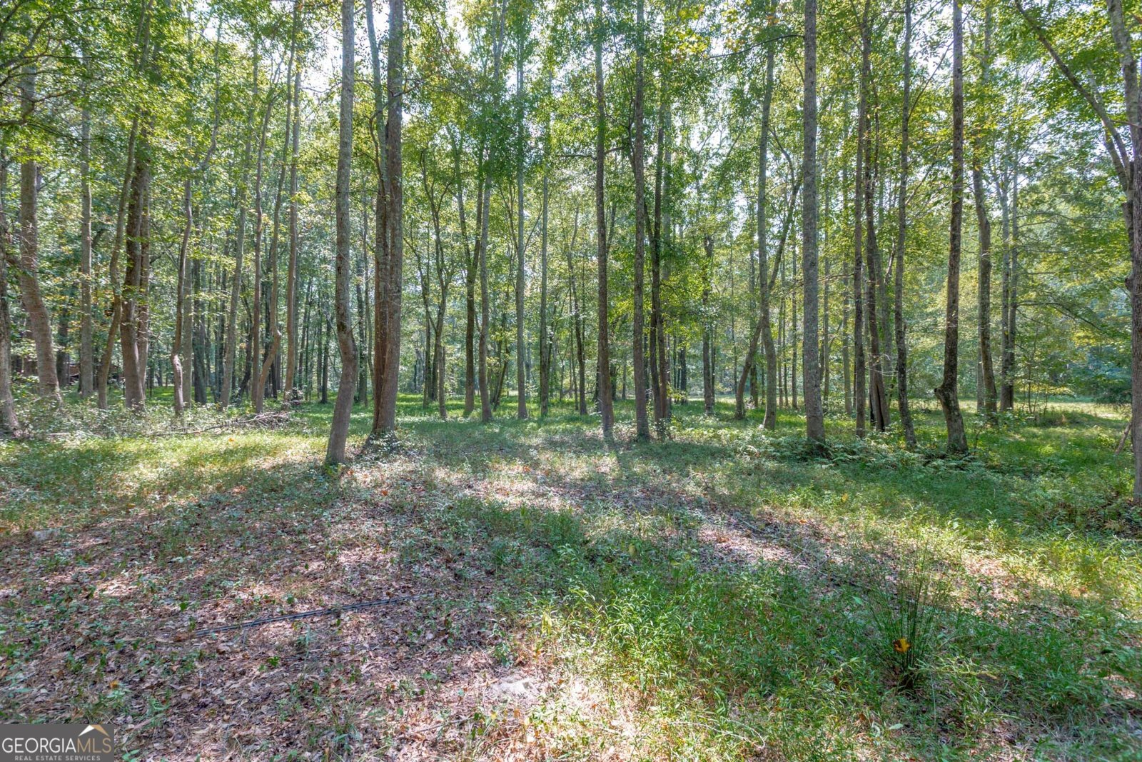 460 Rivers Road Fayetteville - 68