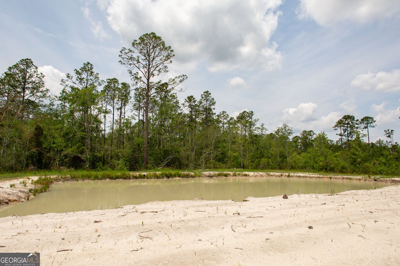 375 Brier Patch Ln Waycross - 32