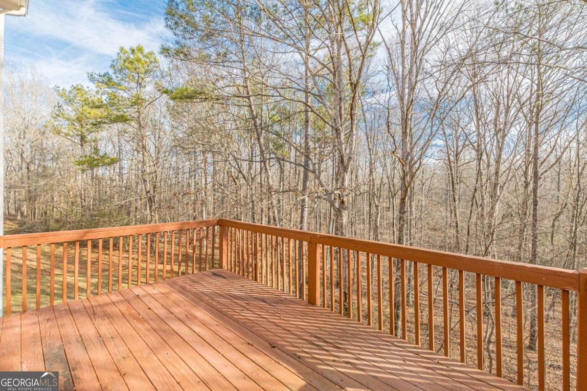 210 Lanella Parkway Conyers - 15
