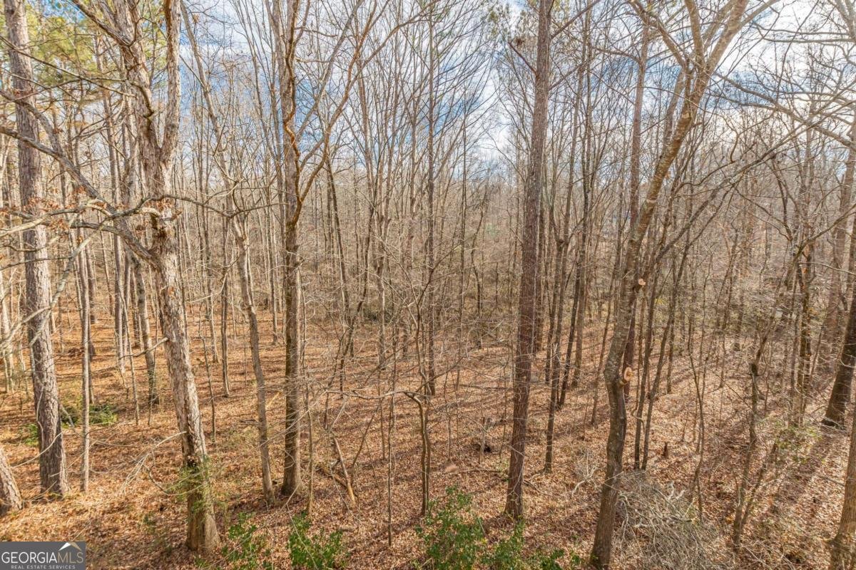 210 Lanella Parkway Conyers - 16