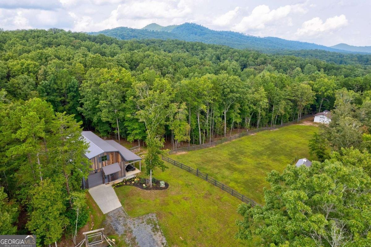 174 Bear Hollow Drive Mineral Bluff - 20