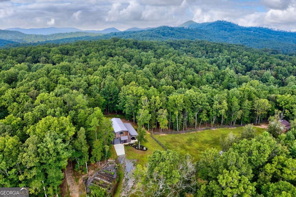 174 Bear Hollow Drive Mineral Bluff - 21