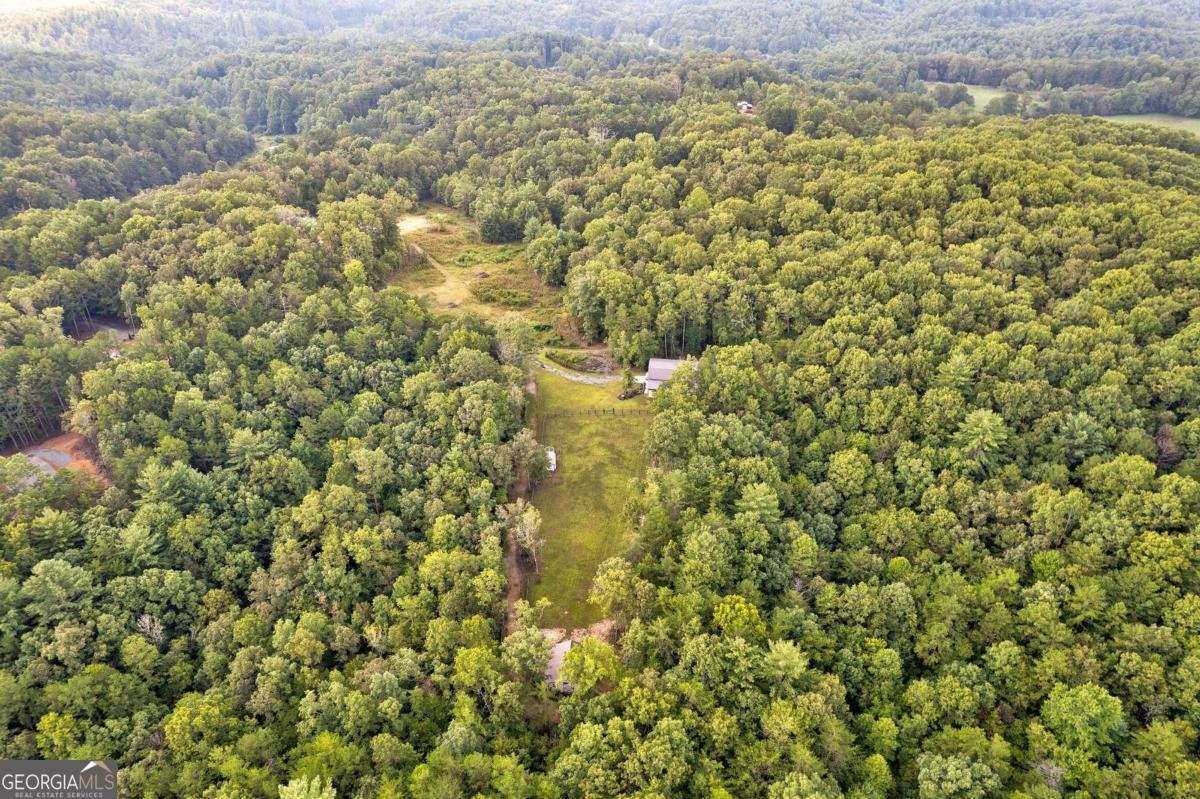 174 Bear Hollow Drive Mineral Bluff - 22