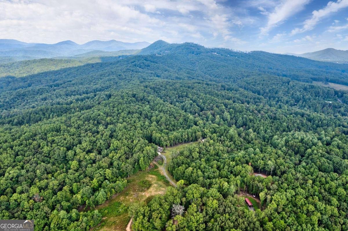 174 Bear Hollow Drive Mineral Bluff - 23