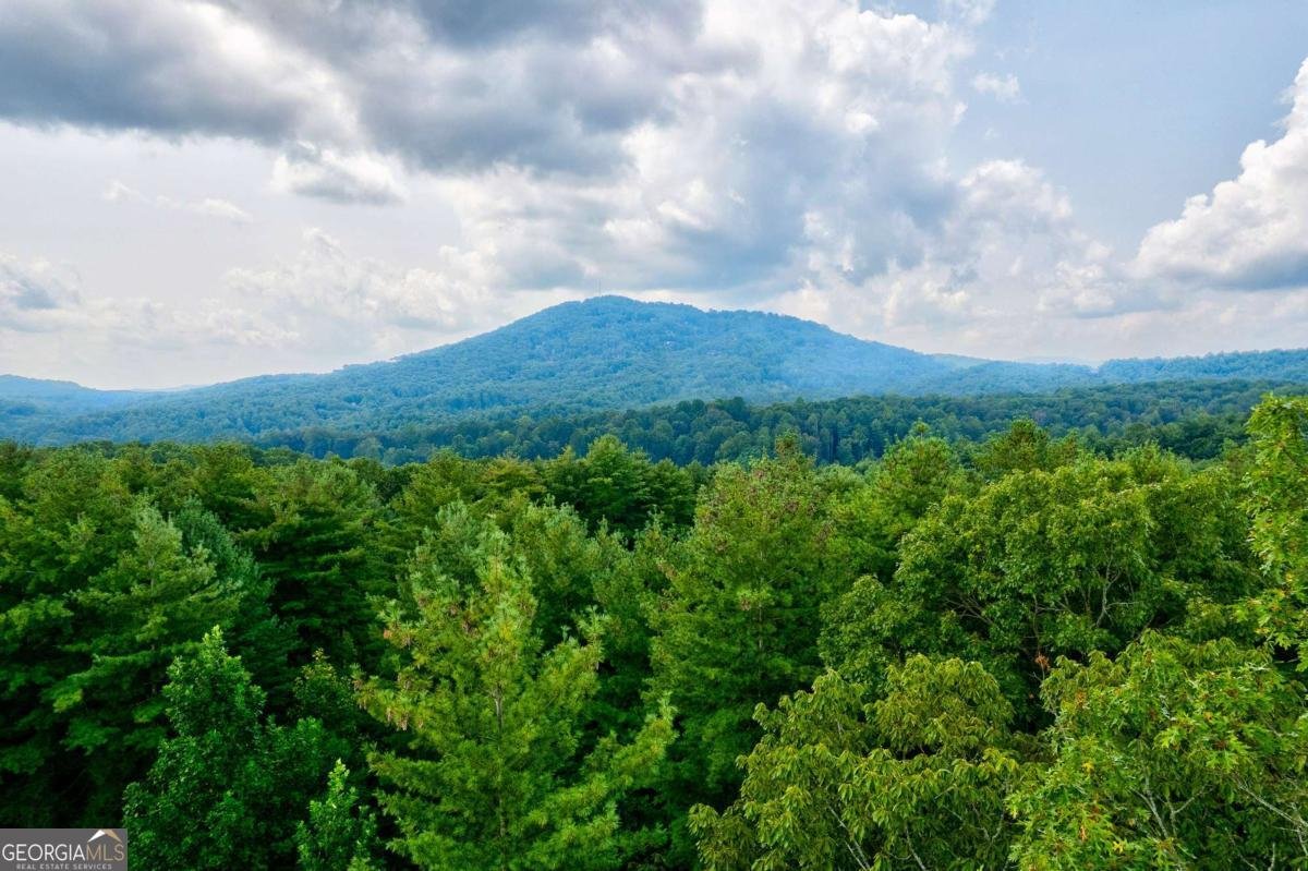 174 Bear Hollow Drive Mineral Bluff - 24