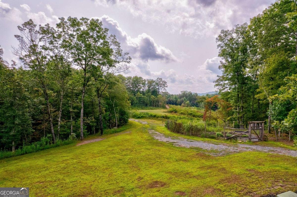 174 Bear Hollow Drive Mineral Bluff - 9
