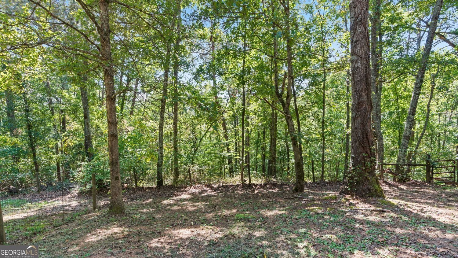 520 George Gray Lane Waleska - 12