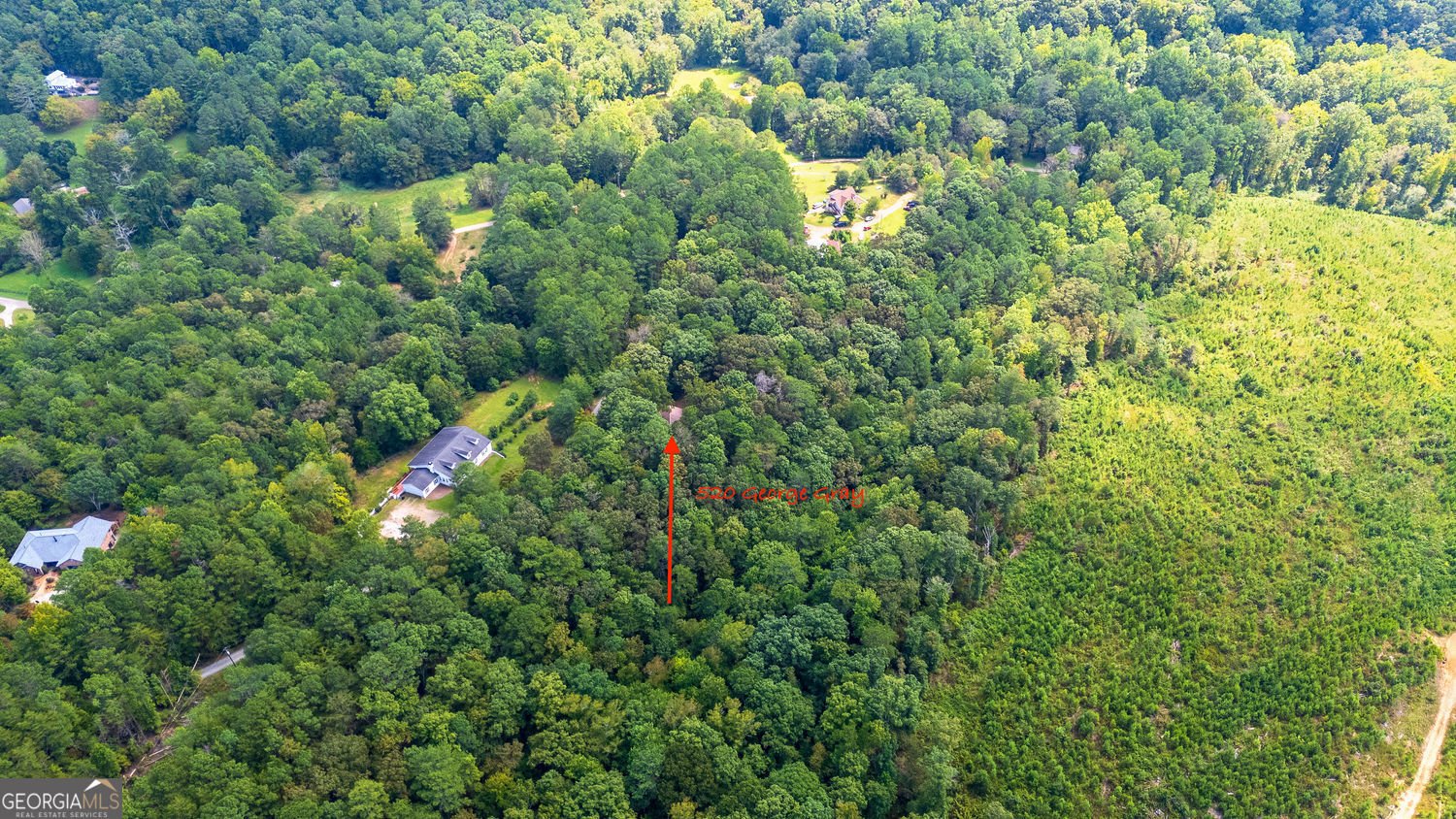 520 George Gray Lane Waleska - 16