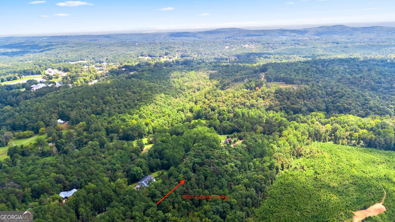 520 George Gray Lane Waleska - 17