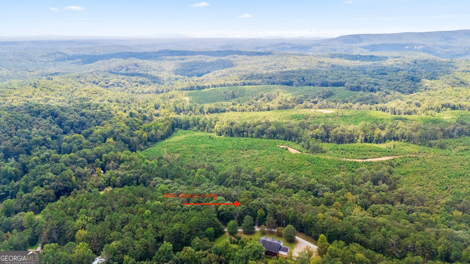 520 George Gray Lane Waleska - 19