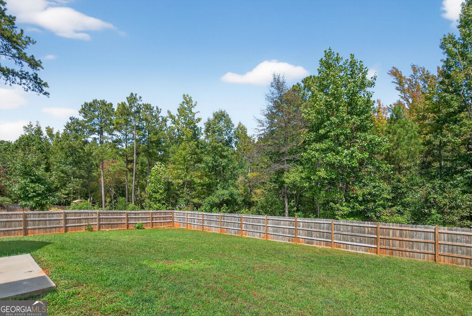 341 Hunter Welch Parkway Luthersville - 31