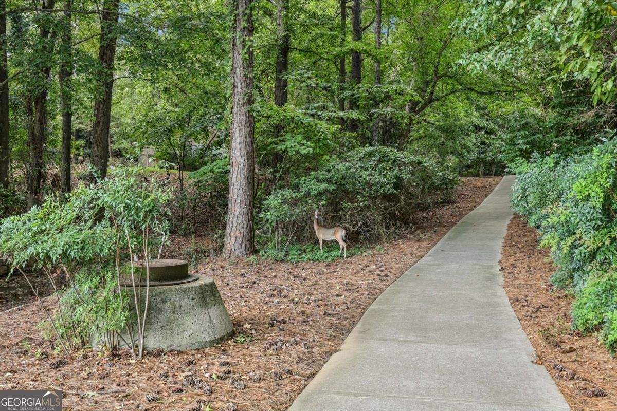 1155 Northshore Drive Roswell - 31