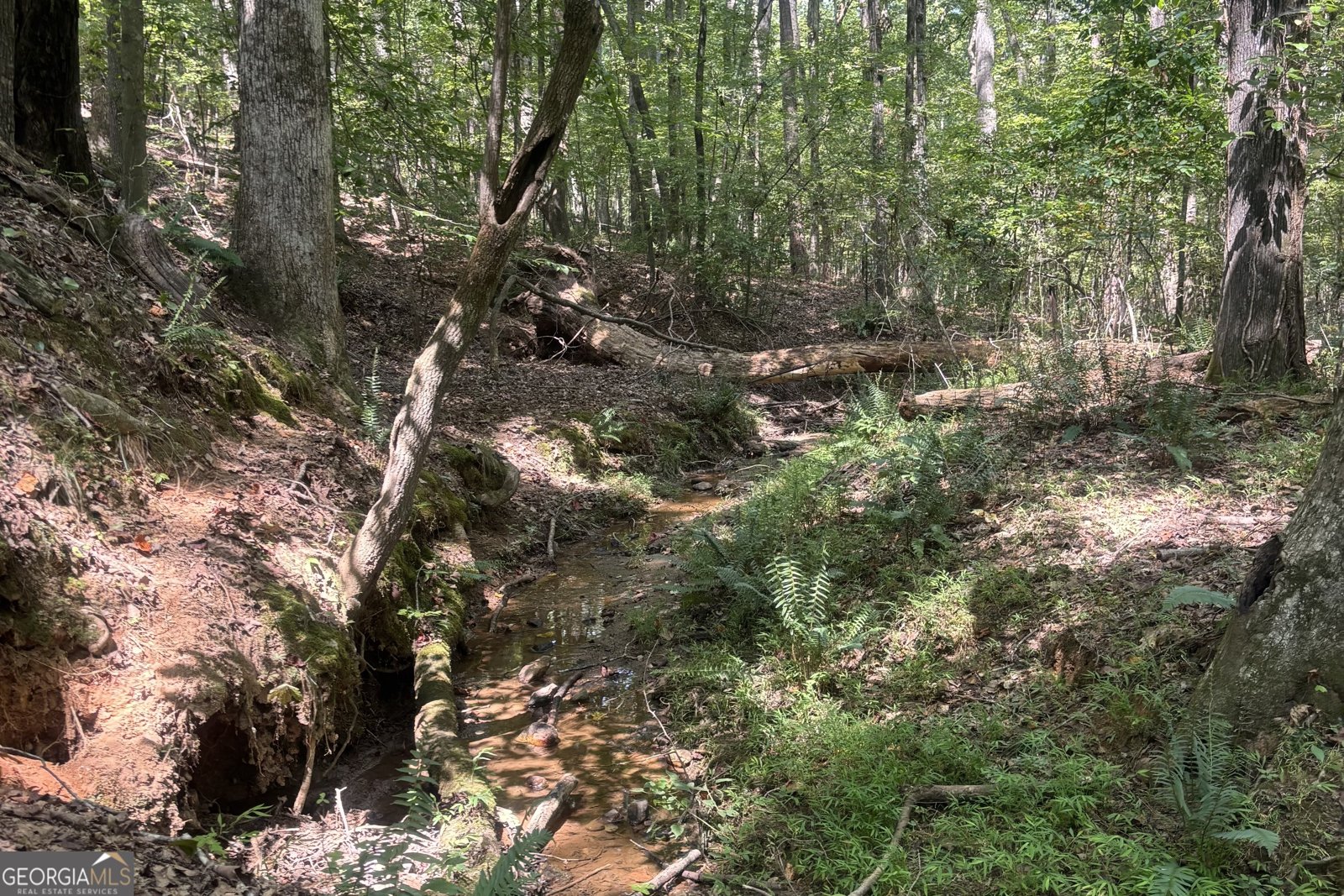 9700 Helton Road Winston - 25