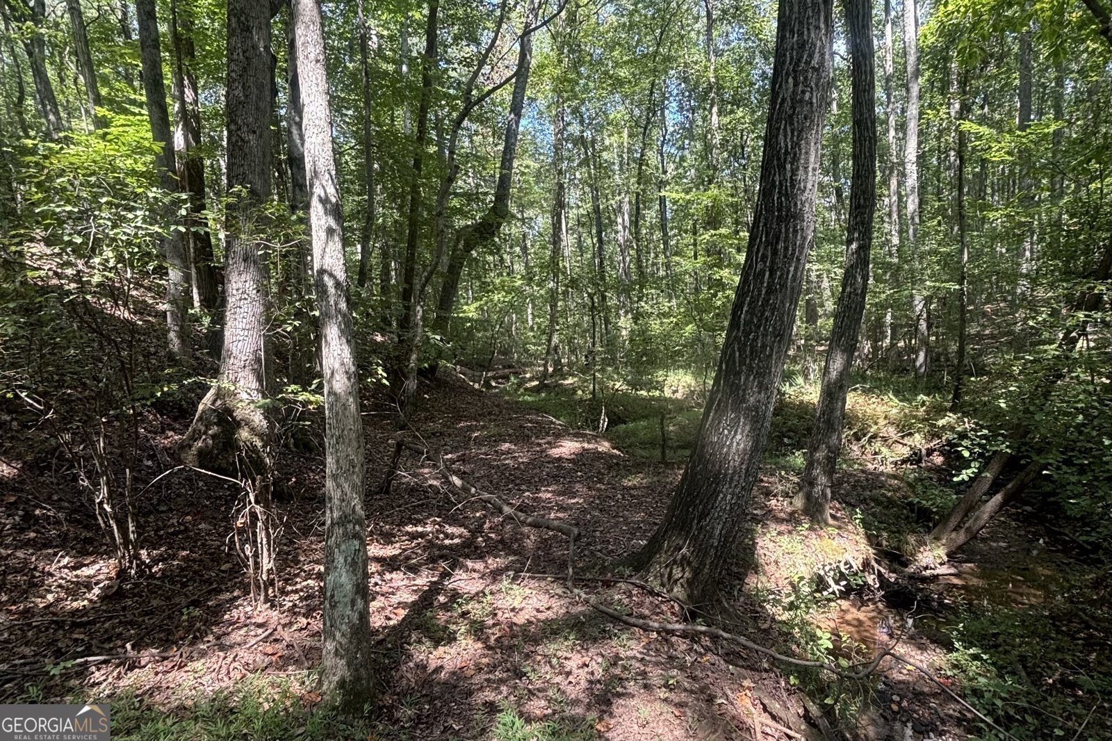 9700 Helton Road Winston - 31