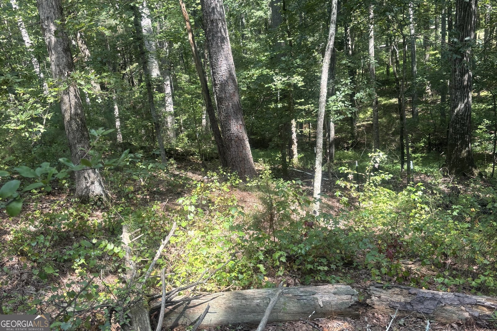 9700 Helton Road Winston - 35