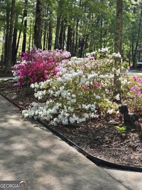 5419 Tyree Road WINSTON - 15