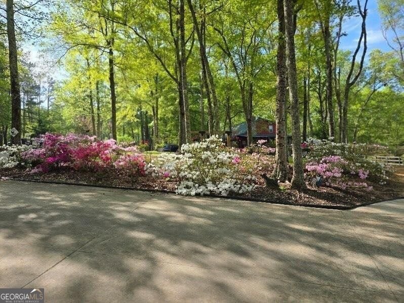 5419 Tyree Road WINSTON - 16