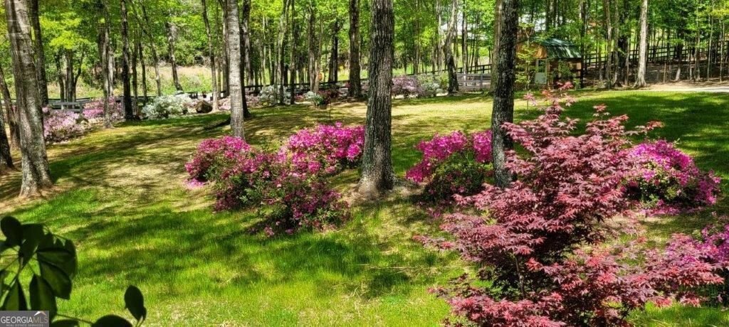5419 Tyree Road WINSTON - 32