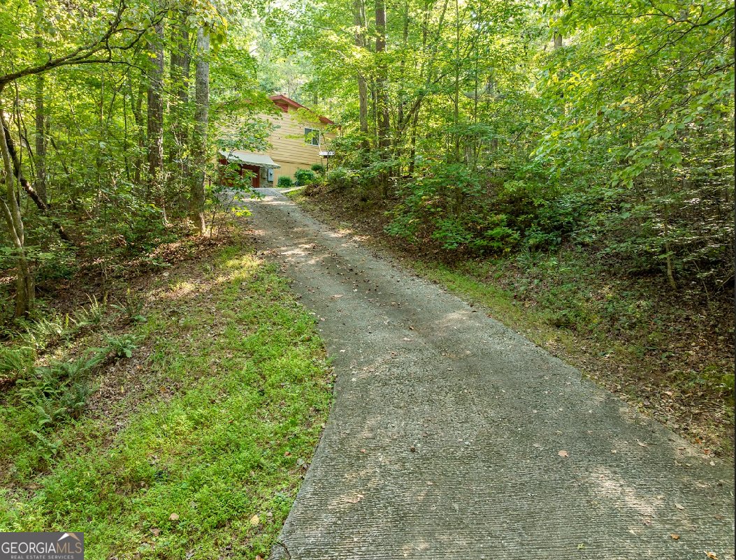 346 Berean Church Road Ellijay - 12
