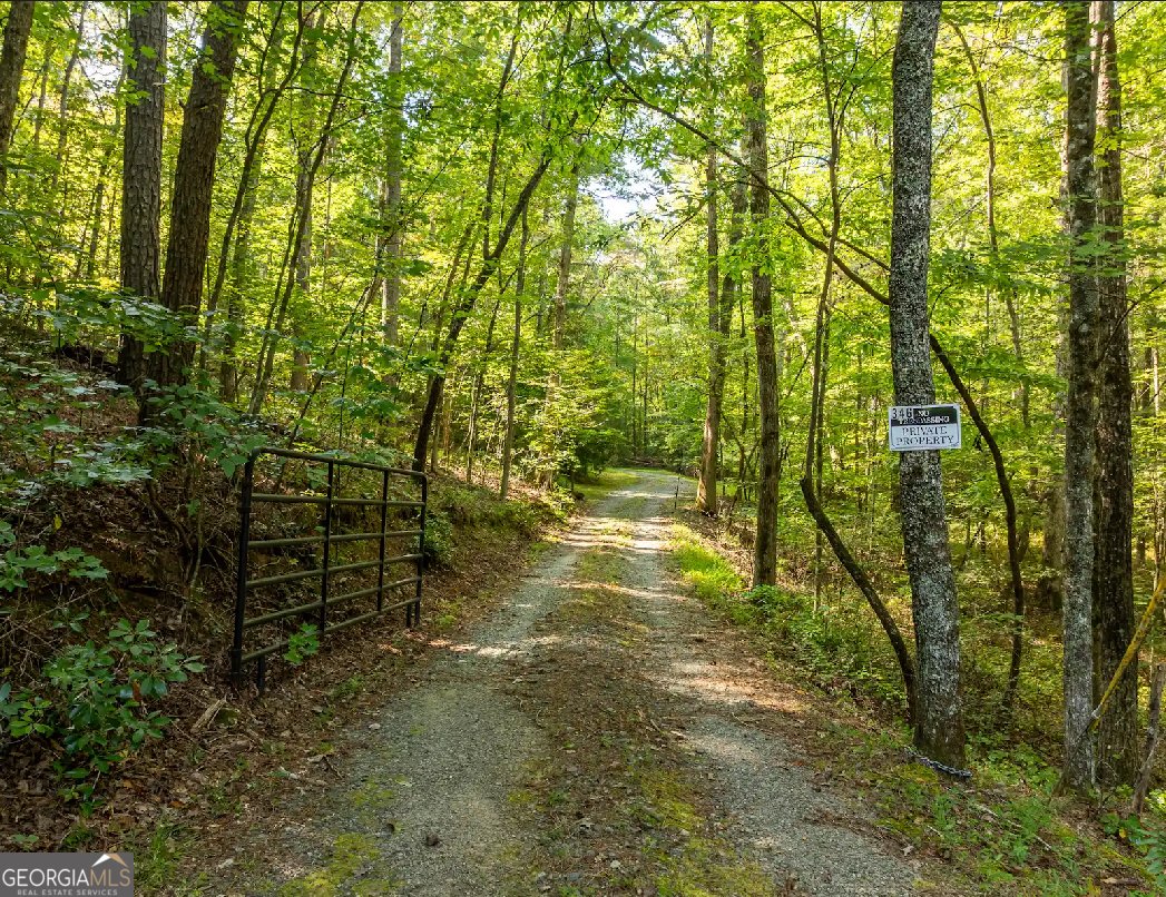 346 Berean Church Road Ellijay - 13