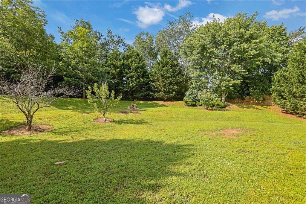 425 Eldridge Drive Suwanee - 1