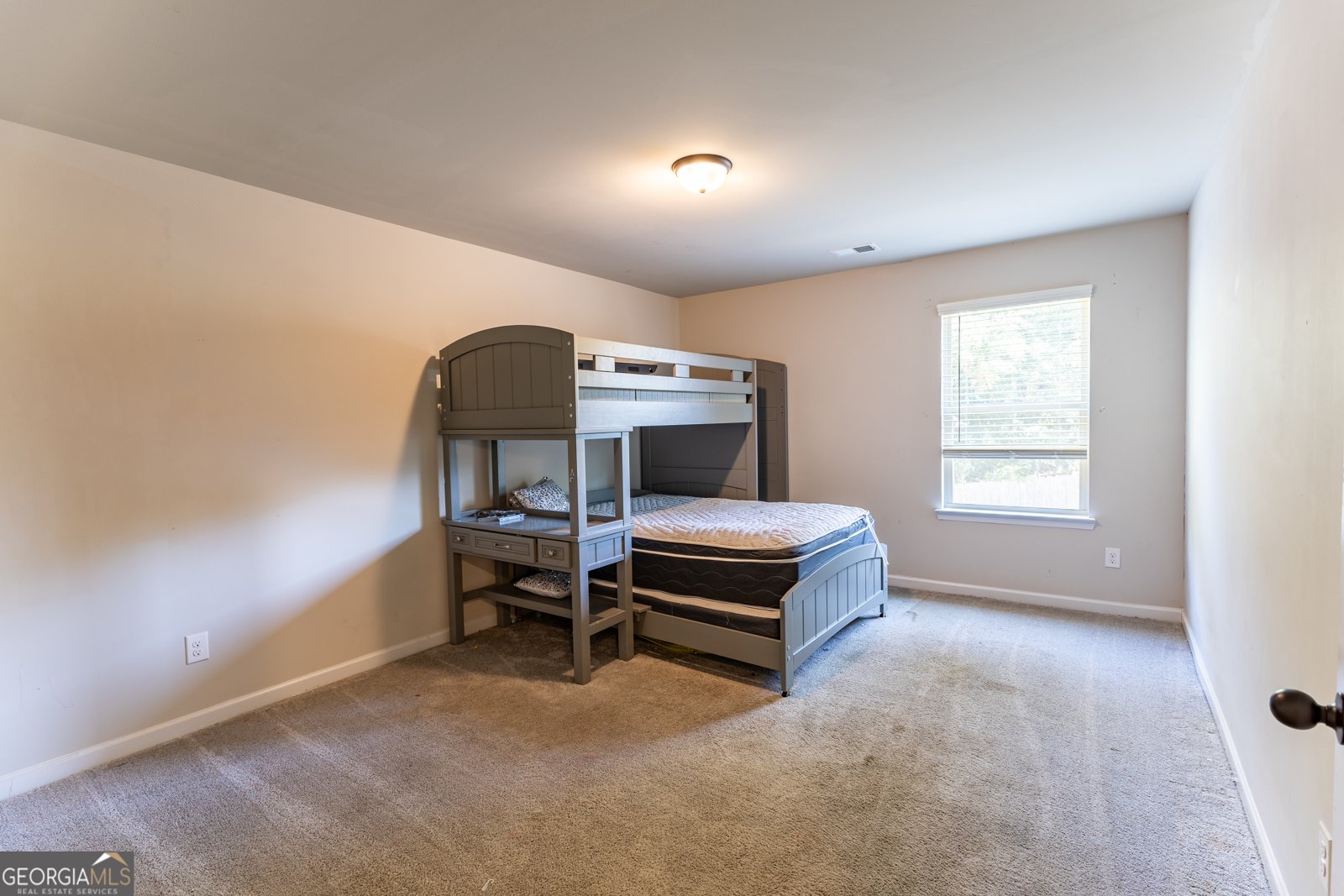 1028 Mcconaughy Court Mcdonough - 19