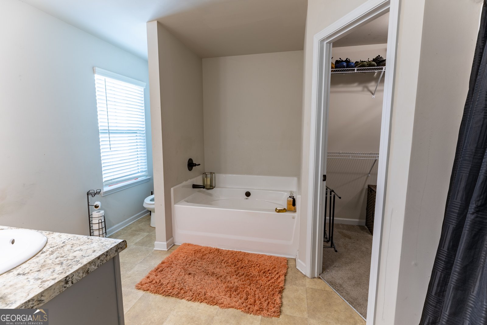 1028 Mcconaughy Court Mcdonough - 32