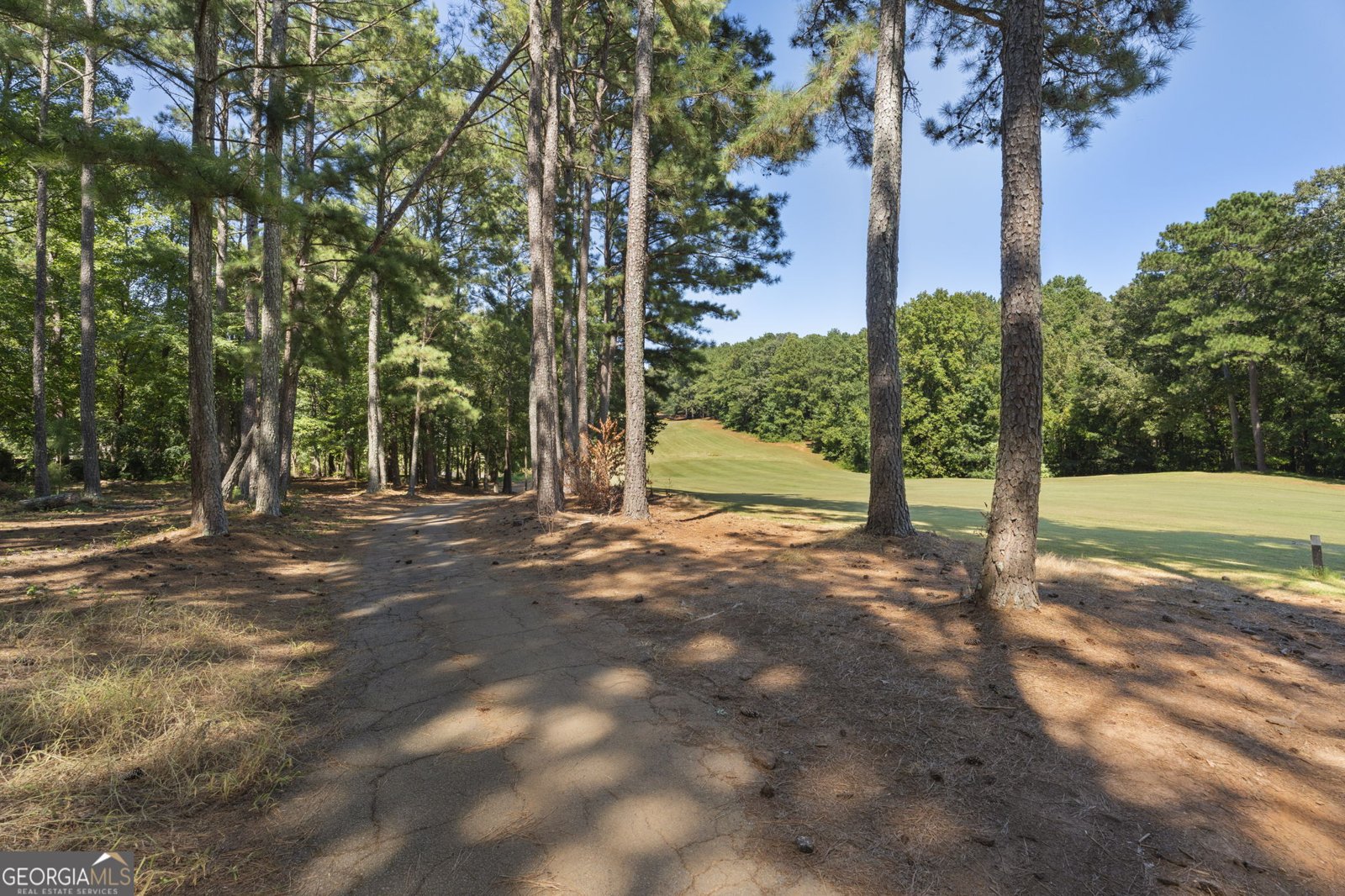 570 McGarity Drive McDonough - 51