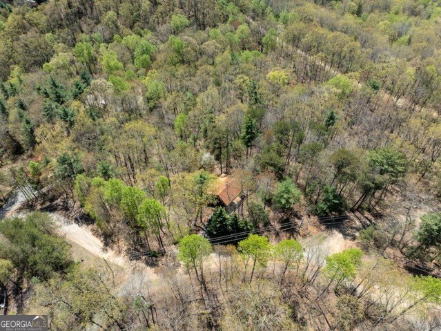 191 Mountain View Road Ellijay - 21