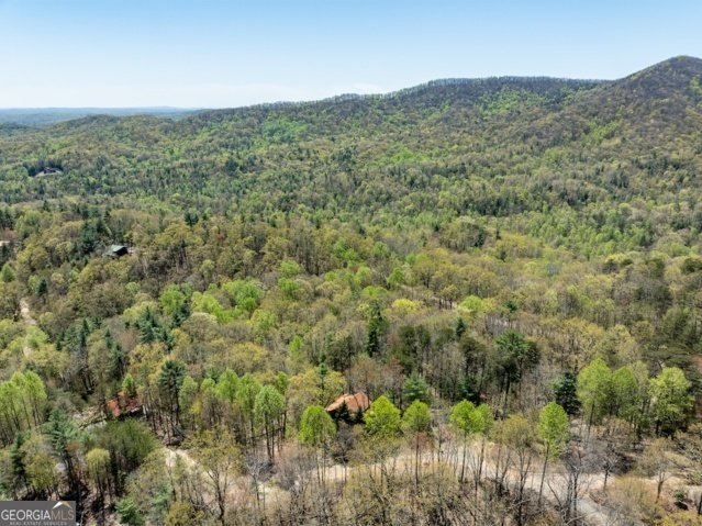 191 Mountain View Road Ellijay - 25