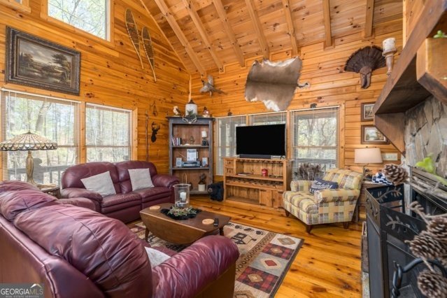 191 Mountain View Road Ellijay - 3