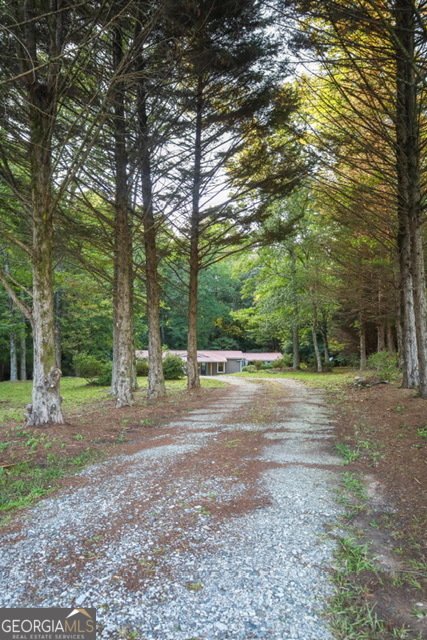 1313 Damascus Road Homer - 9