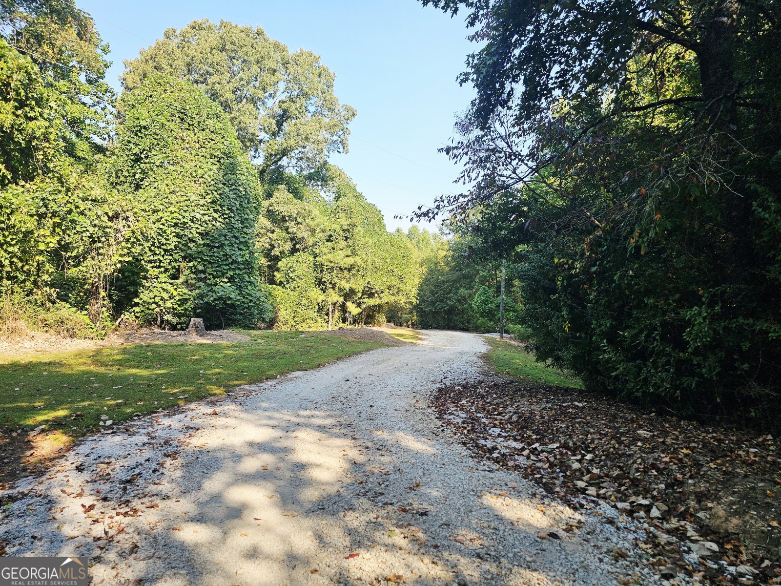 2485 GA Hwy 34 Franklin - 4