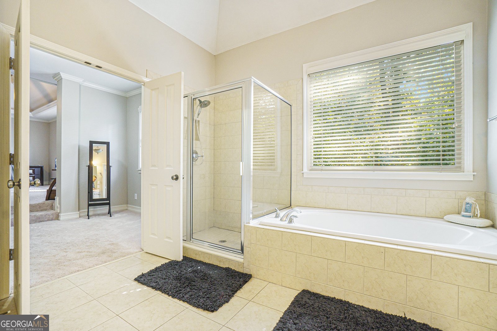 6217 Millstone Trail Douglasville - 20