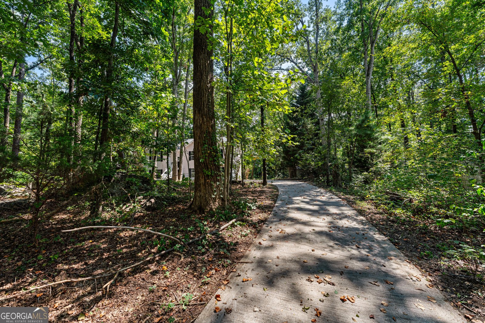 105 Creek View Drive Hoschton - 2