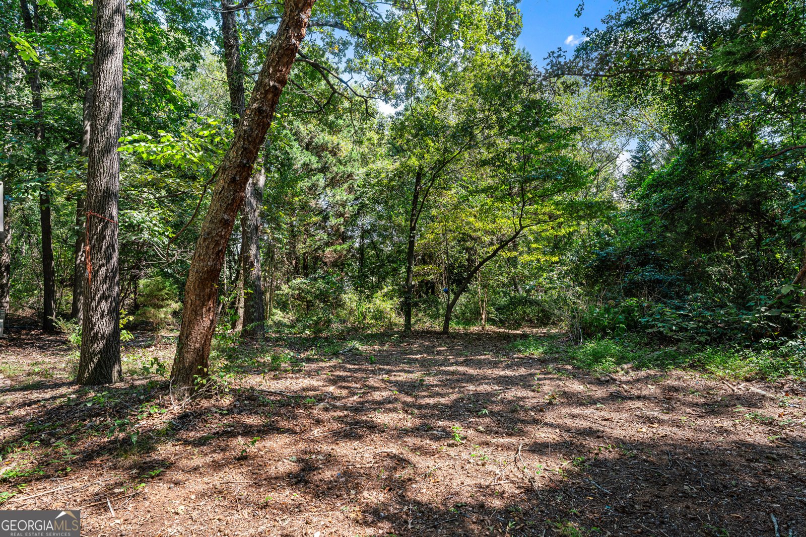 105 Creek View Drive Hoschton - 37