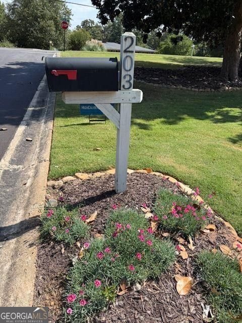 203 Angla Drive Smyrna - 5