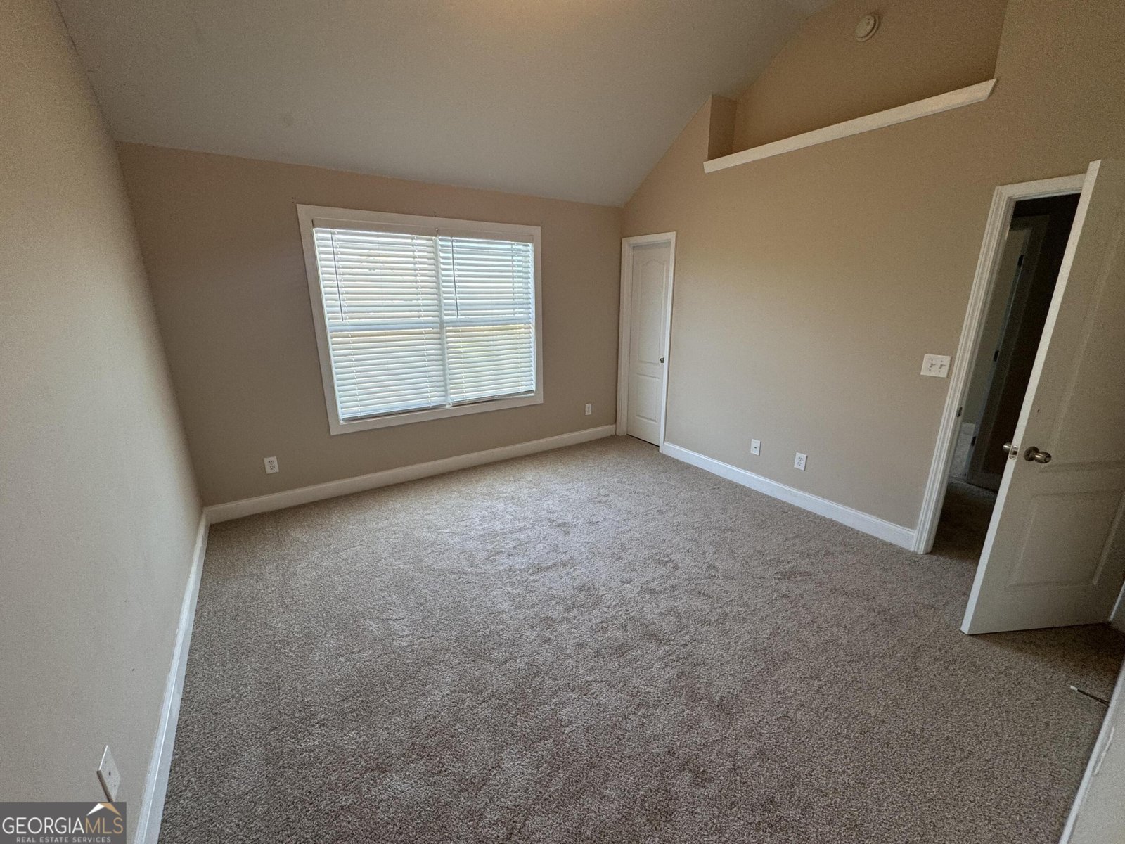 218 Daisy Circle McDonough - 11