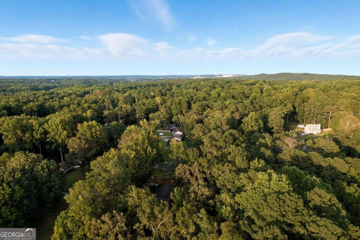 2194 Chestnut Place Lithia Springs - 38
