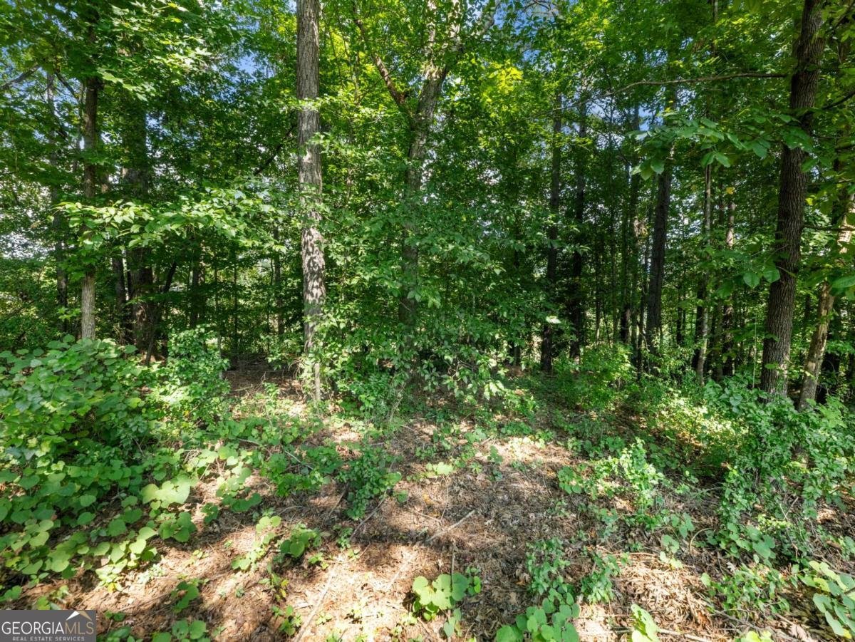 894 Fairview Club Circle Dacula - 27