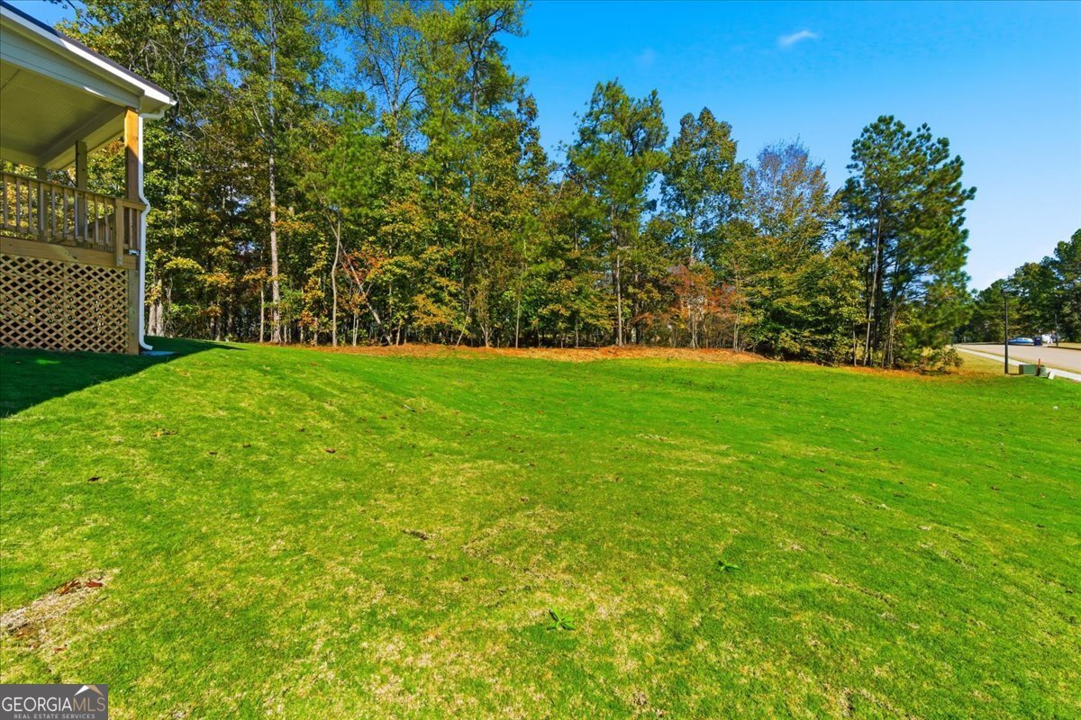 7782 Capps Ridge Lane Douglasville - 20