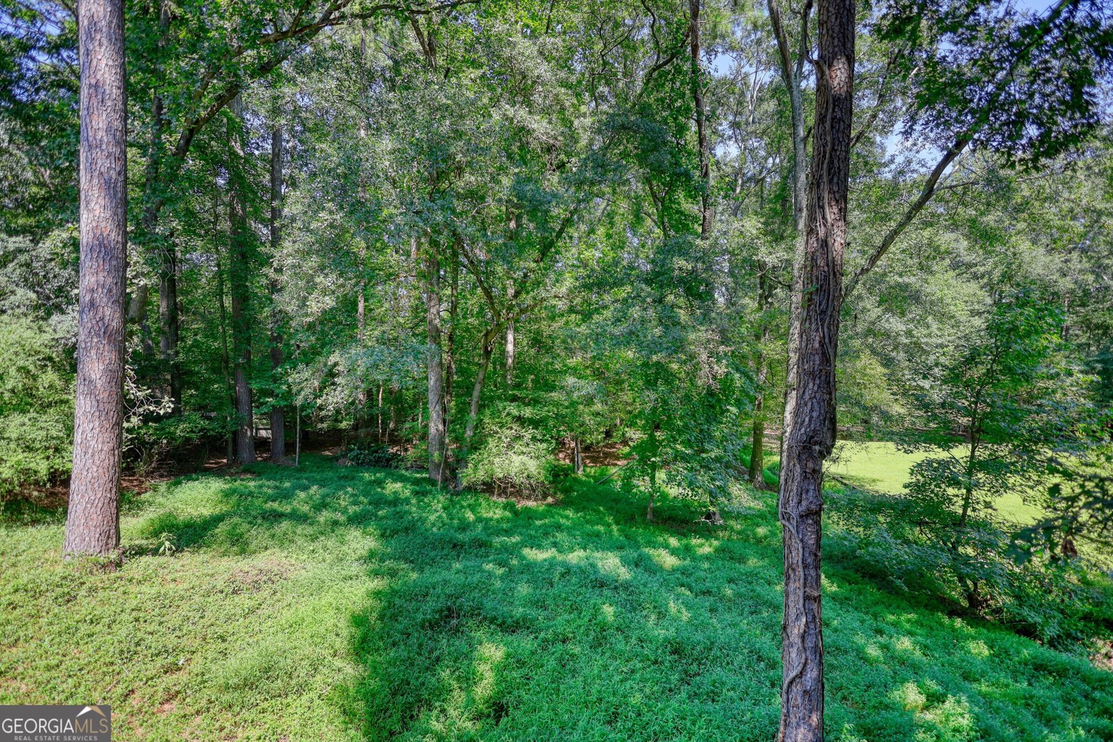 4527 Robie Road Lilburn - 63