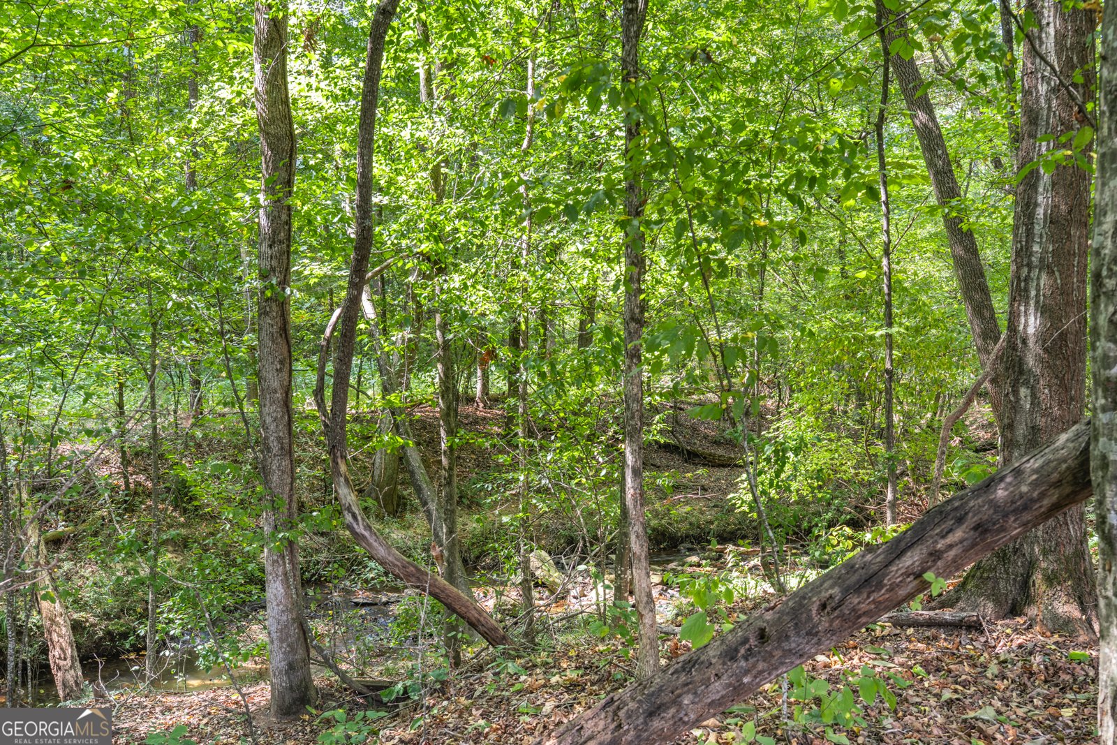 6263 Robins Trace Stone Mountain - 42