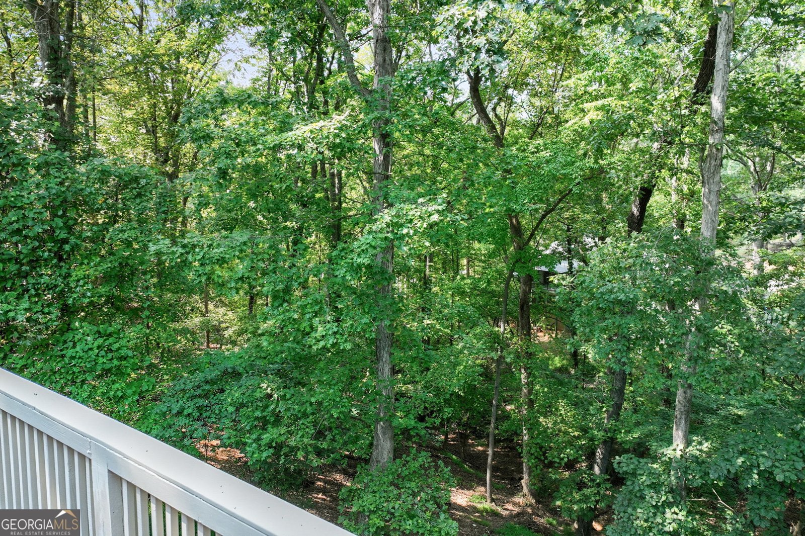 2641 Bridgewater Circle Gainesville - 62